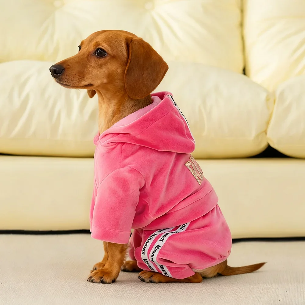 Sudaderas con capucha para perros, mono para perros pequeños, gatos, cachorros, disfraz de terciopelo suave, pijamas con capucha de invierno, trajes de chándal, chaqueta deportiva - imagen 2