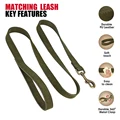 Deep Green Leash