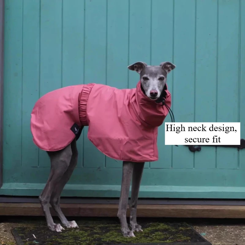 Chubasquero impermeable para perros de gran tamaño, impermeable de lujo para perros Whippet Greyhound, chaqueta, impermeable Doberman Pinscher para caminar al aire libre - imagen 5