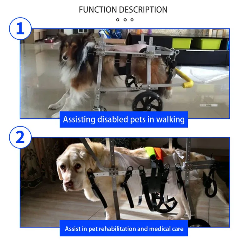 Ayuda de entrenamiento para perros, cochecito de cuatro ruedas para discapacitados, suministros para cachorros, accesorio para comportamiento - imagen 2
