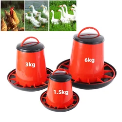 Comedero automático para gallinas, palomas y codornices – Dispensador pienso