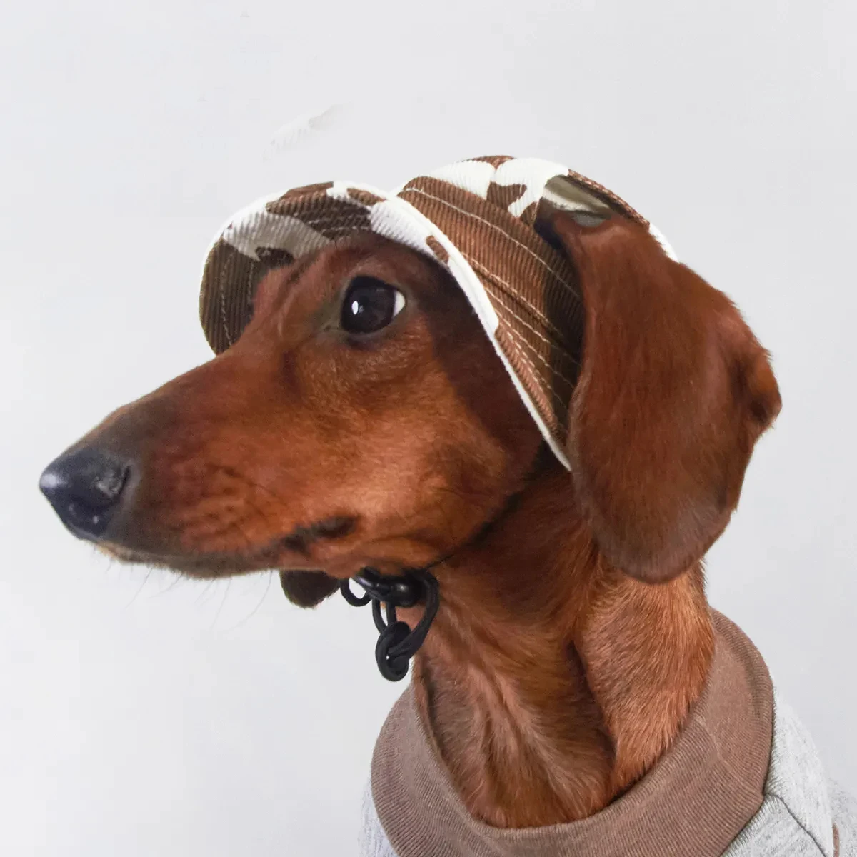 Gorra solar transpirable para perros pequeños y medianos con orejas - imagen 2