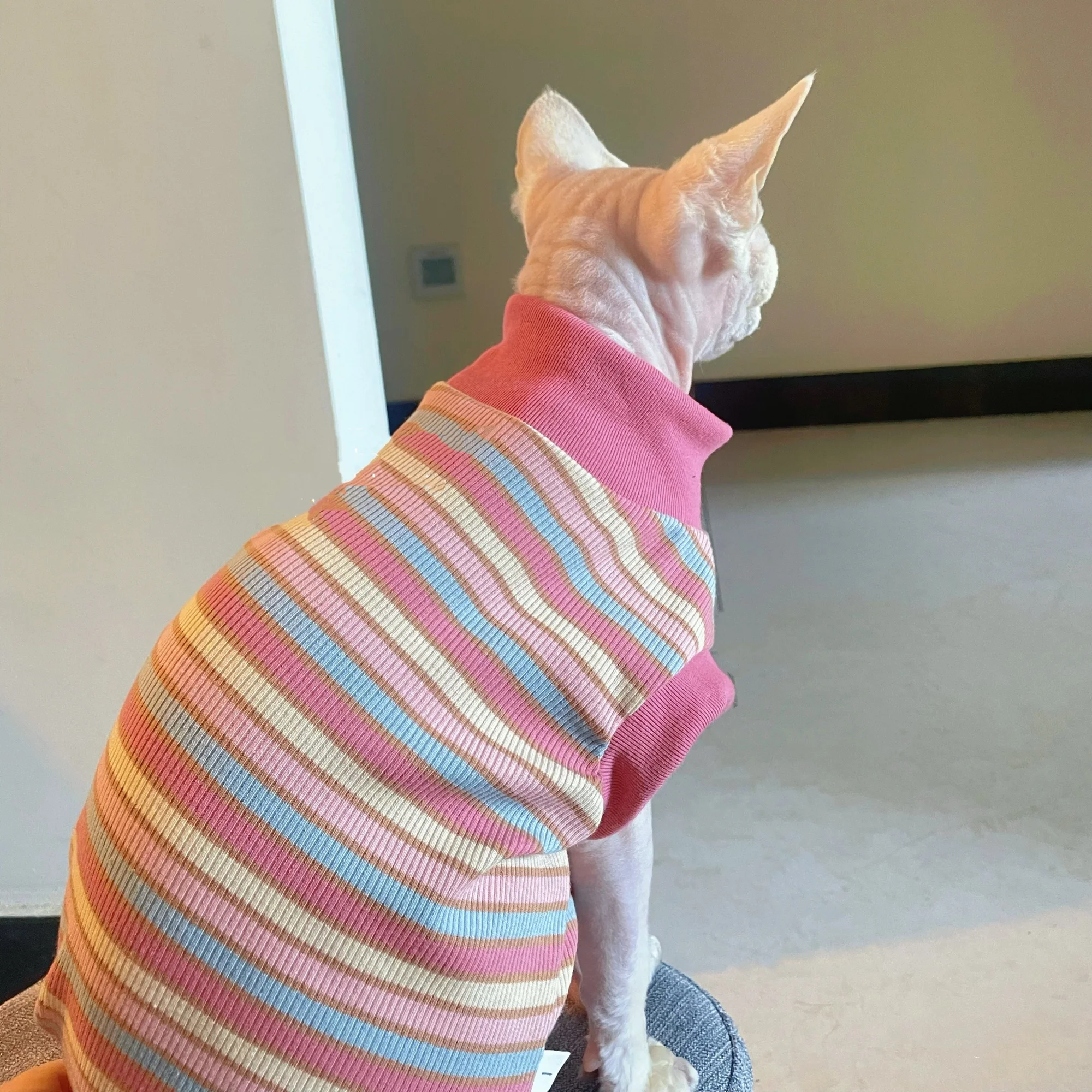 Camiseta algodón manga corta rayas rosas para gato Sphynx y gatitos - imagen 2