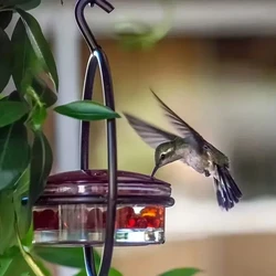 Bandeja alimentadora de colibríes con cuenco de plástico rojo, comedero para colibrí al aire libre, atrae pájaros para jardín exterior, patio trasero, terraza