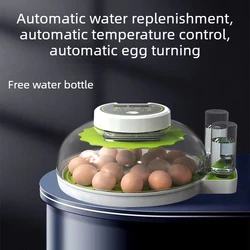 Incubadora automática para huevos de pollo con control de temperatura