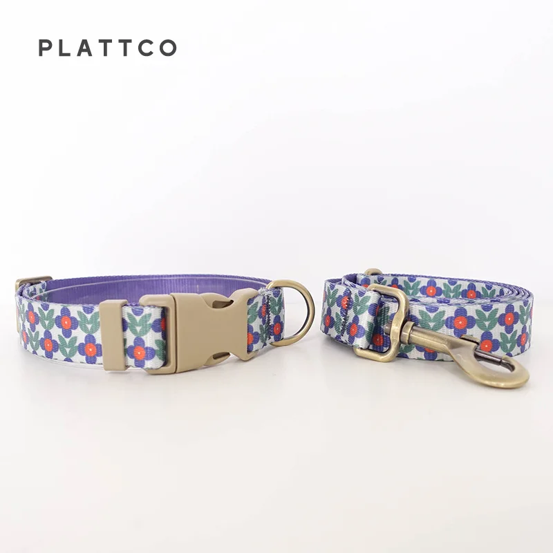 Dog Collar Leash Set