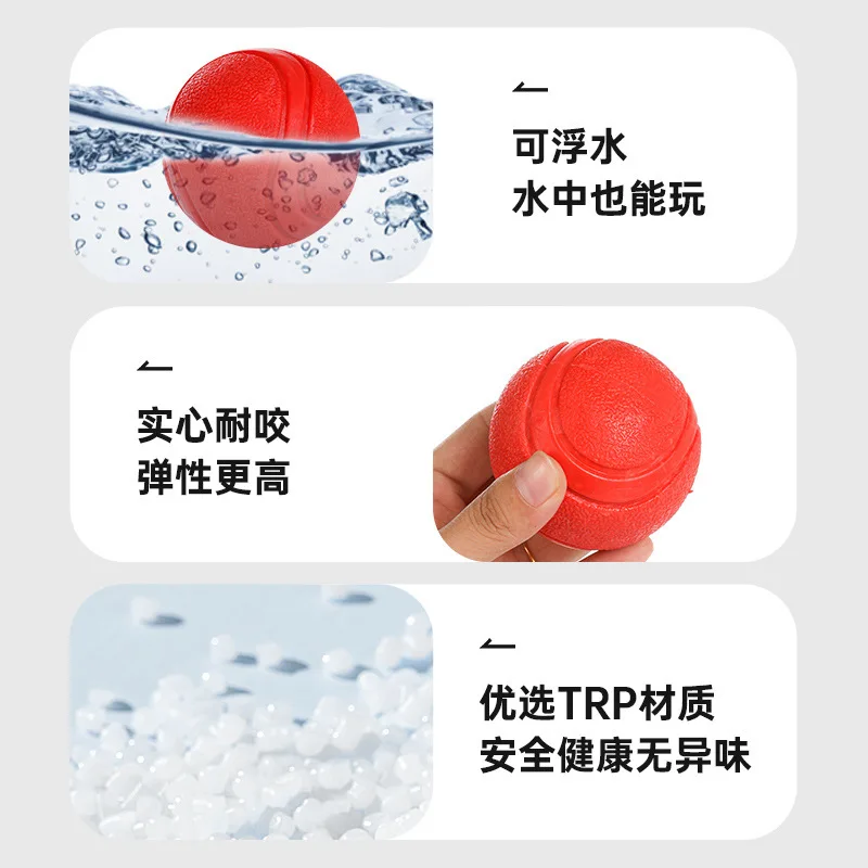 Pelota de rebote duradera y resistente a masticar, pelota de entrenamiento para masticar sólida para la dentición, cachorros, perros grandes, Golden Retriever, Teddy - imagen 3