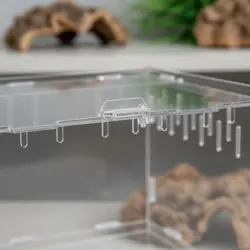 Terrario panorámico 360° para anfibios – Acrílico transparente de alta claridad