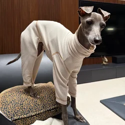 Mono suave beige para Galgo Italiano y Whippet – Ropa de primavera