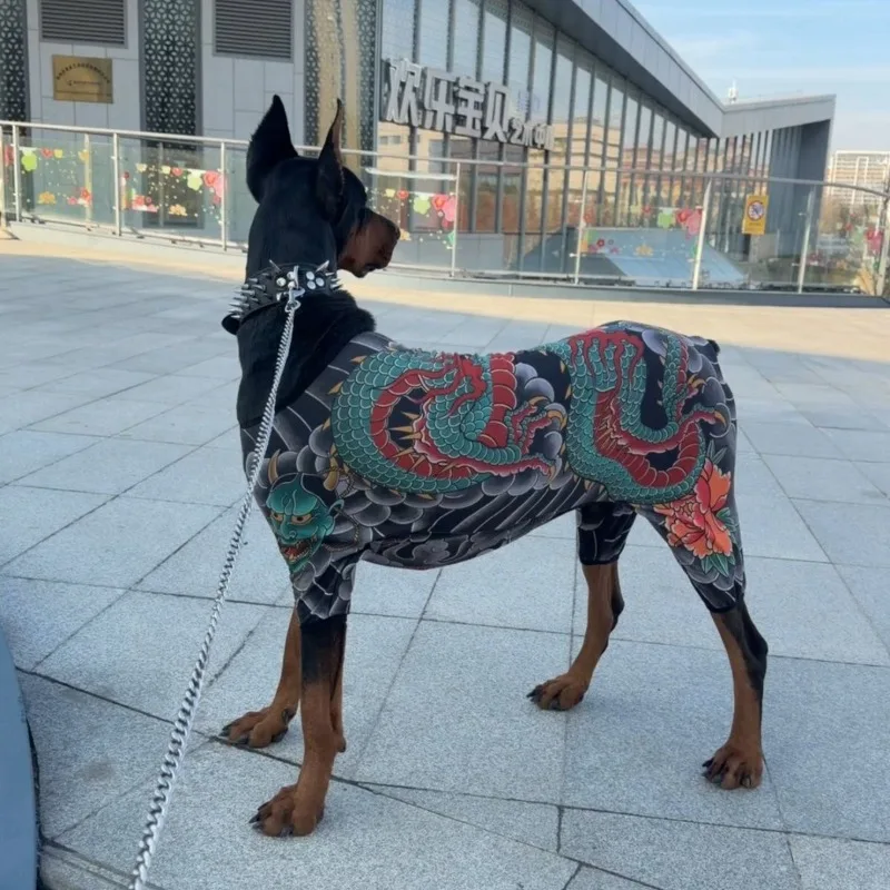 Camiseta para perros en uso, ejemplo de ajuste
