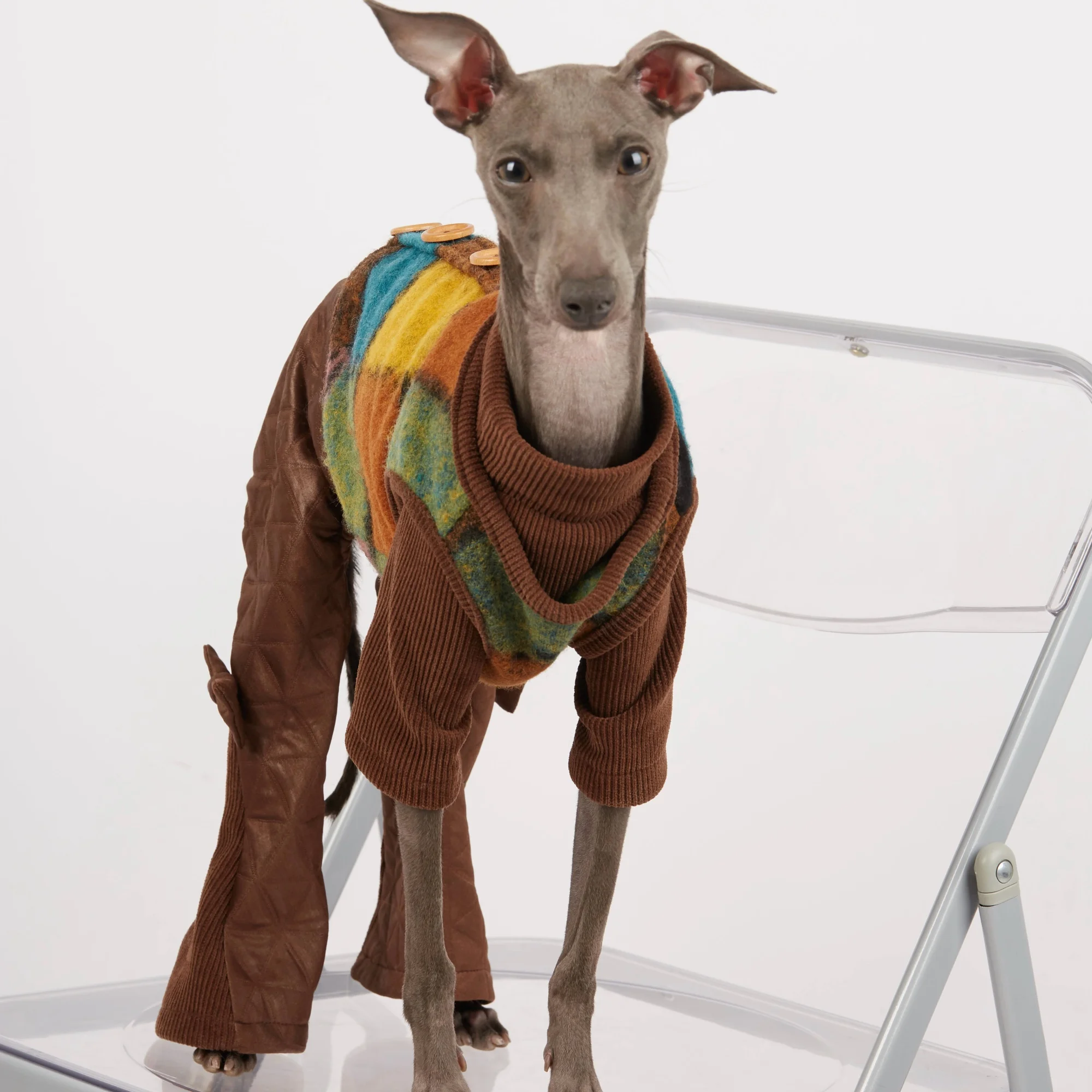 Sudadera de lana cálida para perros en invierno elegante café de 4 patas PU pantalones acampanados chaleco colorido para galgos abrigo para Whippet - imagen 2