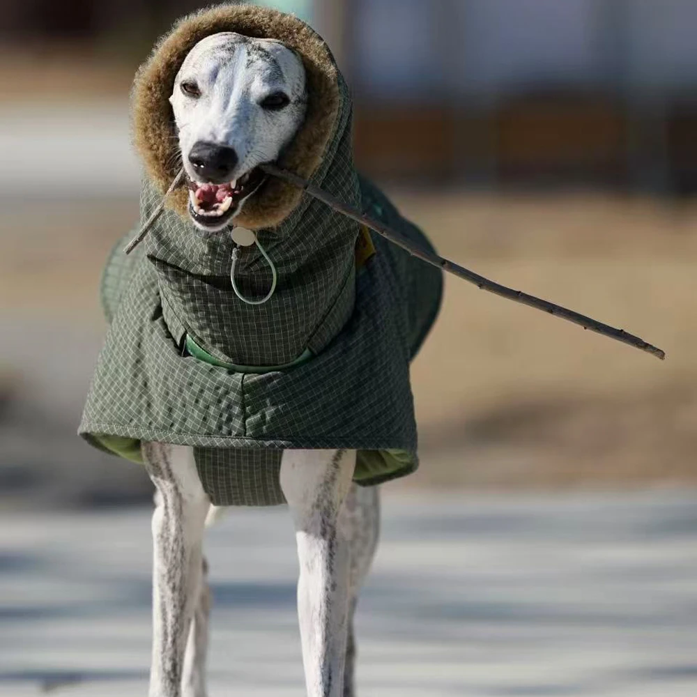 Capa verde de invierno para Whippet y Galgo Italiano – Abrigo cálido - imagen 5