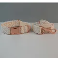 Dog collar leash set