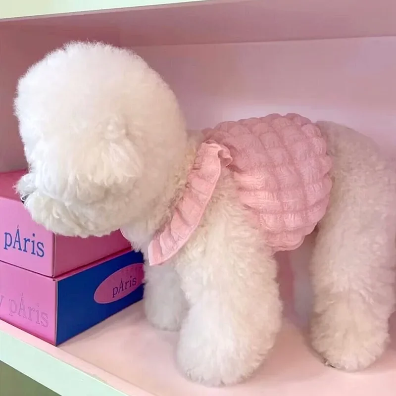 Sin bolsa, ropa para perros de Color macarrón a la moda, chaleco con refuerzo de burbujas de peluche de verano, ropa transpirable para cachorros, vestido, camisola de Color sólido - imagen 2