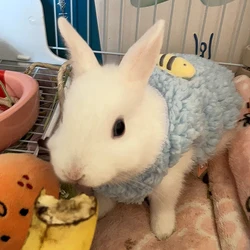 Chaleco forro polar cálido para gatitos y cachorros de invierno