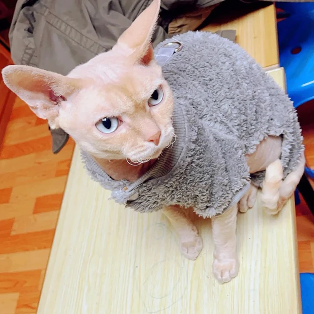 Mono cálido de lana para gatos Sphynx, monos de invierno para mascotas con hebilla, peleles para perros persa Chinchilla, disfraz para mascotas - imagen 4