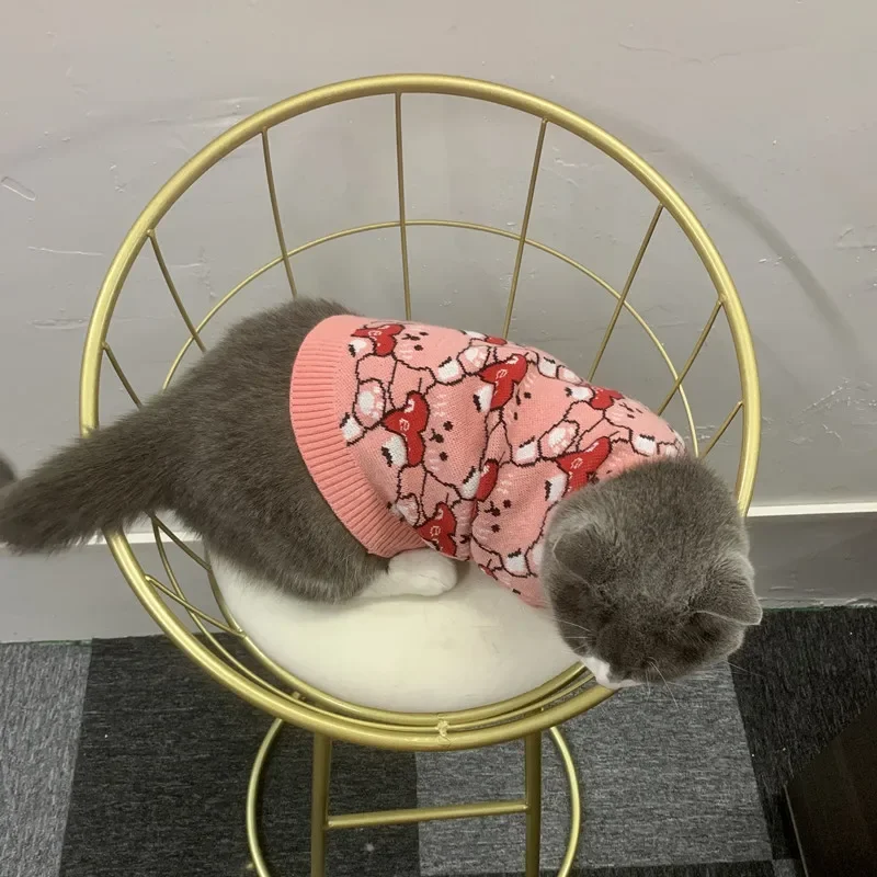 Pet lindo oso amor mascota suéter Teddy tejido Top oso gato otoño e invierno camisa Base cálida ropa para perros pequeños - imagen 2