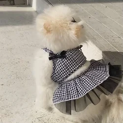 Vestido a cuadros para perro toy - Fiesta de cumpleaños