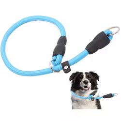 Collar ajustable para perro con cadena P de paseo y entrenamiento