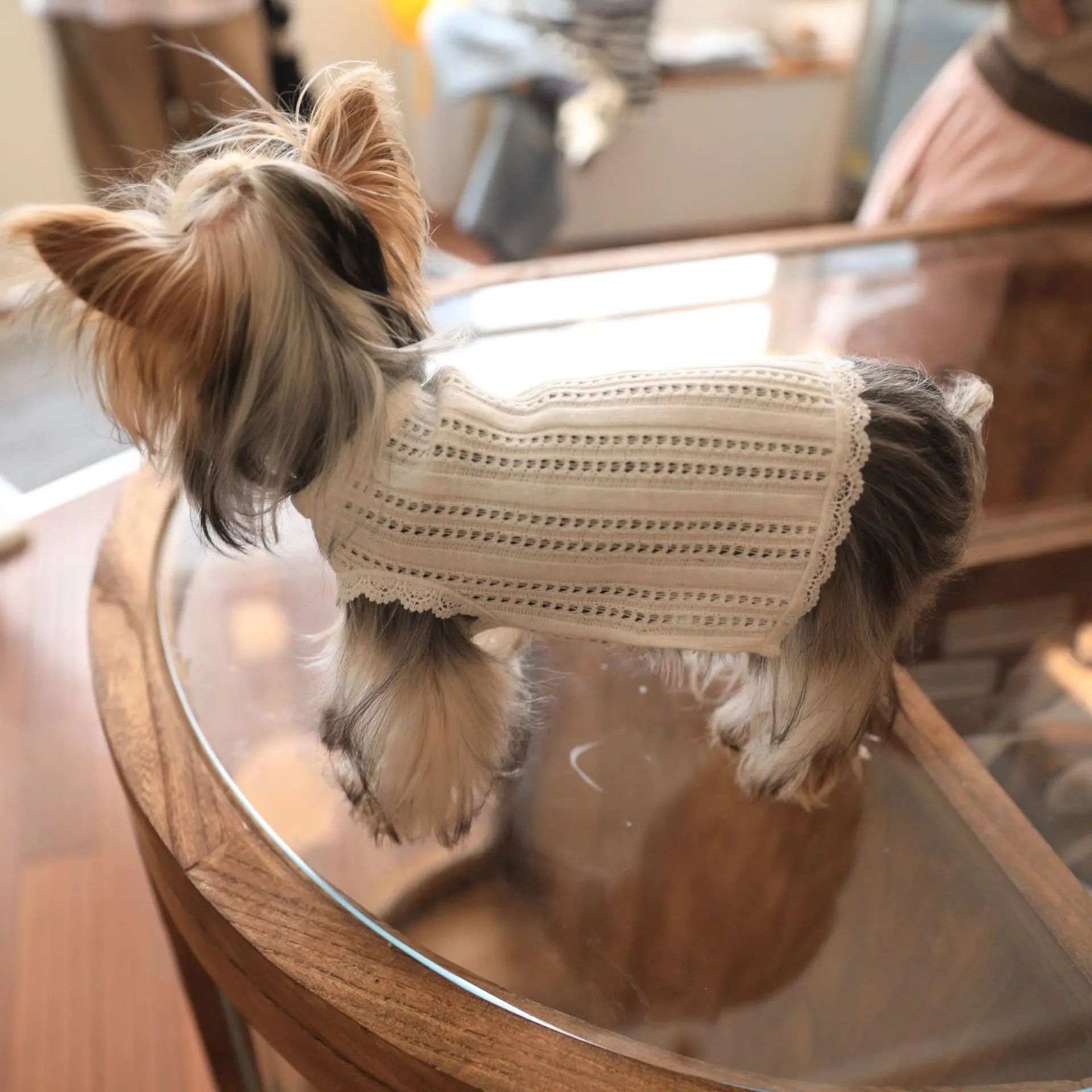 Camiseta sin mangas hueca transpirable para mascotas, ropa para perros, falda de encaje tejida para mascotas, ropa para cachorros, chaleco refrescante para perros