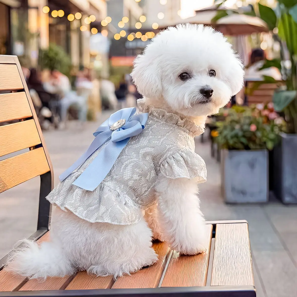 Vestido tutú princesa con encaje y lazo para perro pequeño - imagen 5