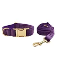 collar and leash set