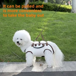 Bolso bandolera para perro con chaleco y correa de paseo – 3 piezas