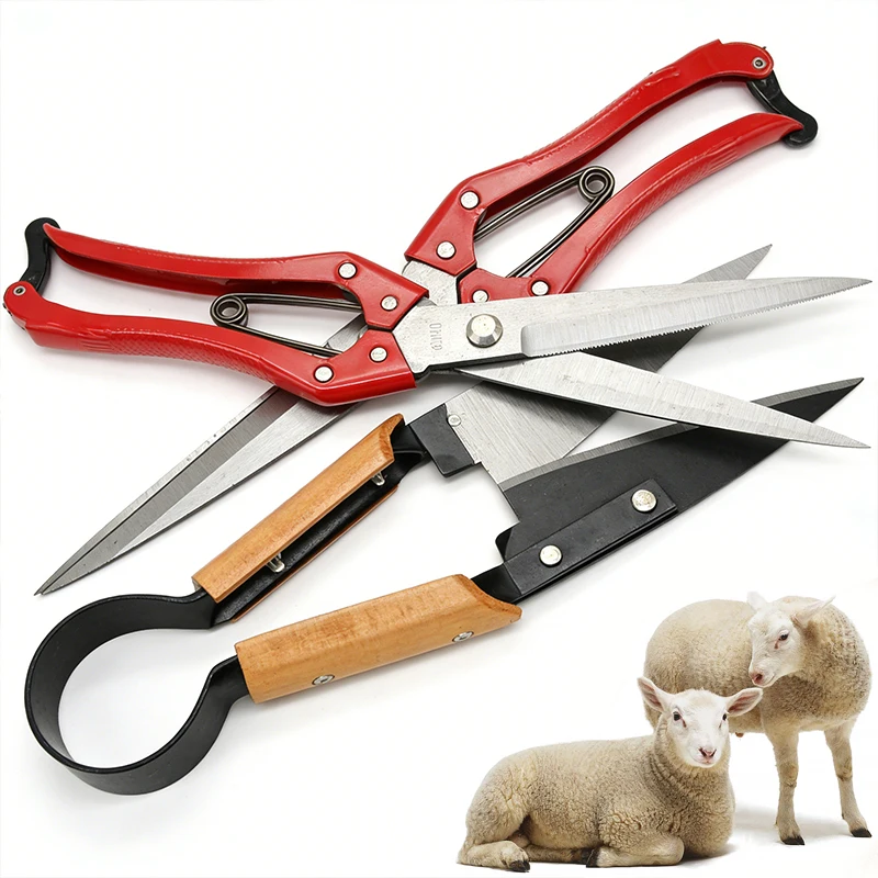 Tijeras esquilar pelo para gatos y perros acero manganeso - imagen 5