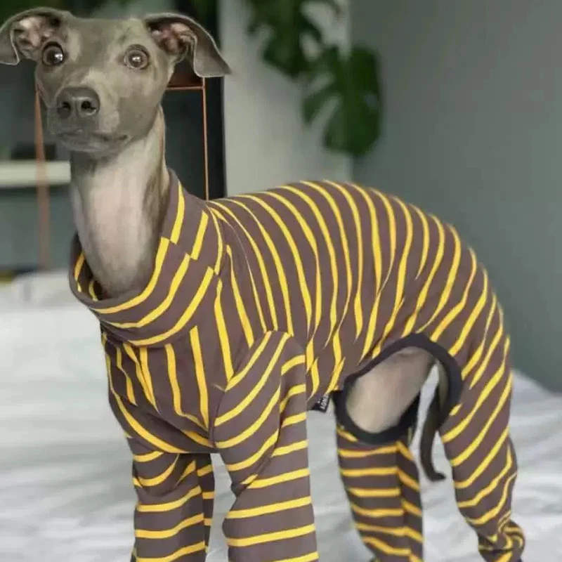 Abrigo de algodón de 4 patas para primavera y otoño, ropa de descanso suave para galgo, sudadera a rayas para perro Whippet, mono de cuello alto Bellington