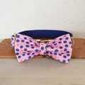 Dog Collar Bow Tie