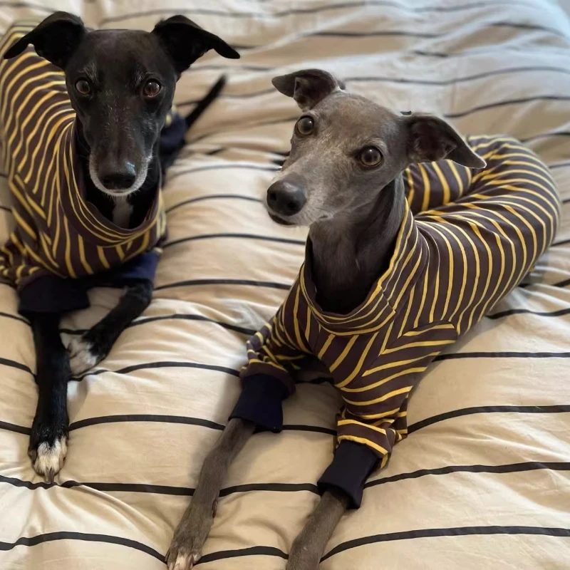 Ropa para perros de compañía, ropa para perros grandes de otoño, disfraces de lujo para perros de Halloween, ropa de dormir, monos, accesorios, suministros de productos - imagen 5