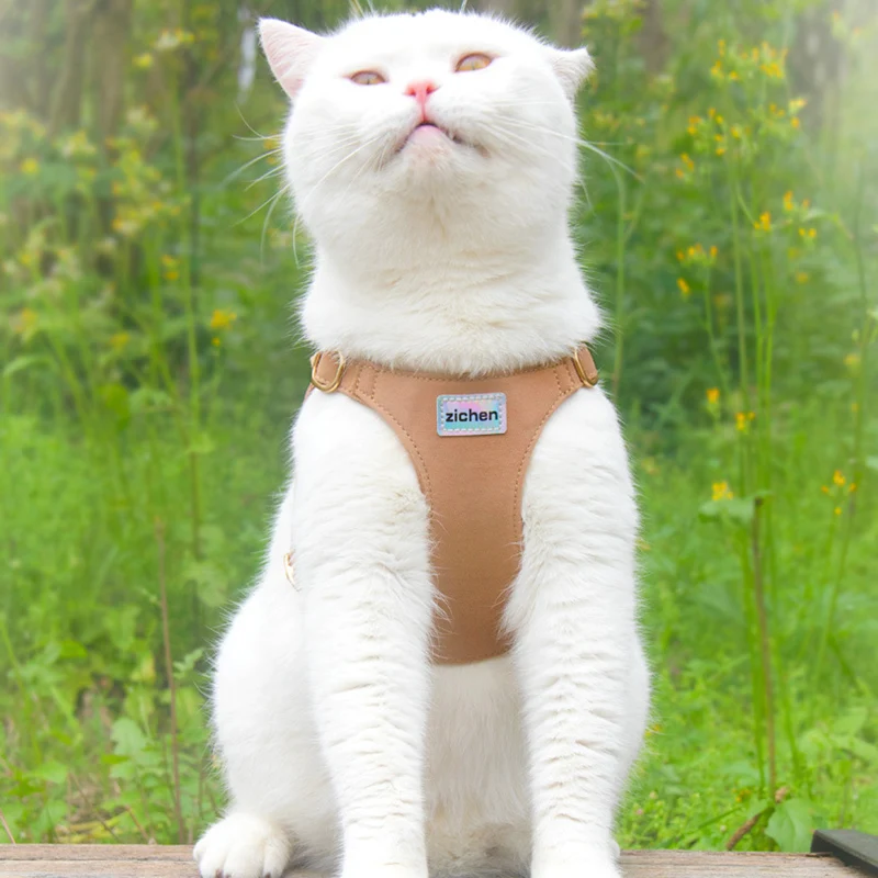 Juego de arnés y correa para gatos, accesorio para mascotas, duradero, a prueba de Escape, ajustable, para gatitos, cachorros, gatos pequeños, medianos y grandes - imagen 2