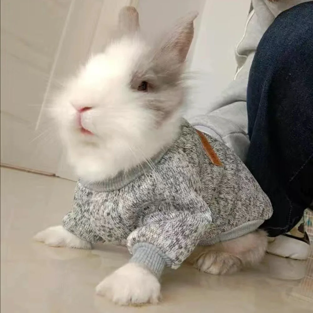Suéter para gatos y perros pequeños de punto: cálido y suave - imagen 2