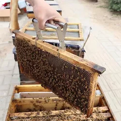 Abrazadera de caja nido para apicultor – Acero inoxidable