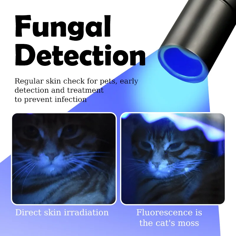 Lámpara de detección de musgo de gato recargable por USB, linterna UV de madera impermeable para mascotas, Detector ultravioleta portátil de mano para fluorescentes - imagen 3
