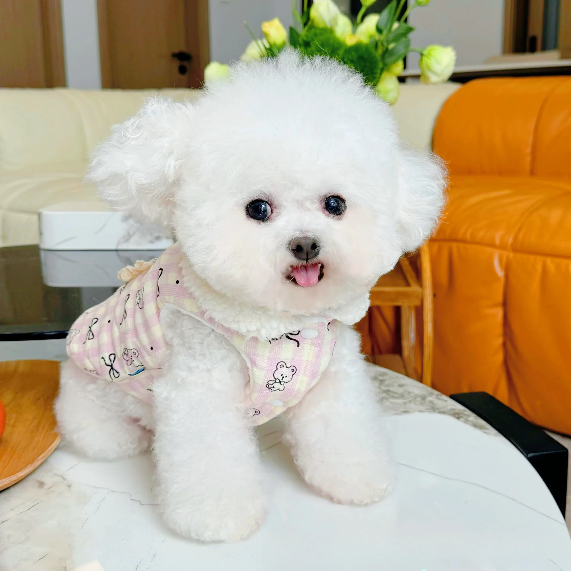 Abrigo con cuello de felpa con lazo para otoño/invierno para mascotas, chaleco de felpa, ropa para perros y gatos en idioma extranjero para perros pequeños, ropa para cachorros - imagen 4