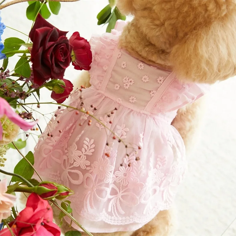 Vestido de princesa con mangas voladoras de encaje para primavera/verano para mascotas, ropa fina para perros y gatos, tocado con lazo, ropa para perros pequeños