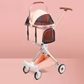 Rose Gold Pink