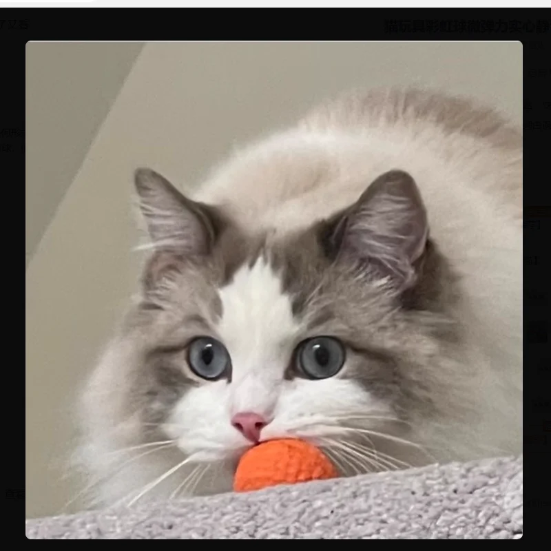Pelota arcoíris para gatos y perros – Juguete interactivo masticable