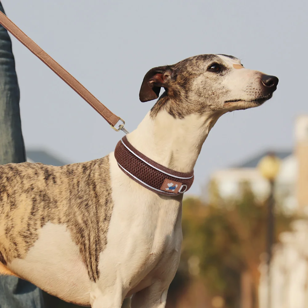 Collar personalizado reflectante ajustable para perros medianos grandes - imagen 5