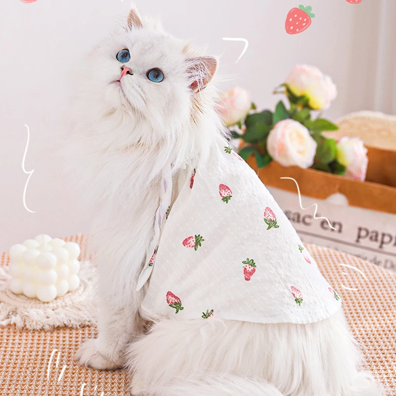 HOOPET-ropa transpirable para gato, pijama corto en inglés, sección fina de verano