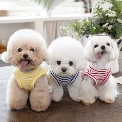 Vestido encaje rayas finas Teddy para perro pequeño Yorkshire cachorro