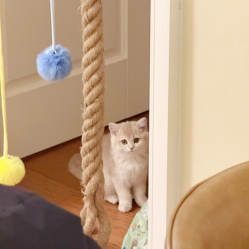 Muebles de escalada para gatos de techo de pared con cuerda de sisal y escalones de madera maciza estilo gancho, para gatos rascar y escalar. - imagen 2