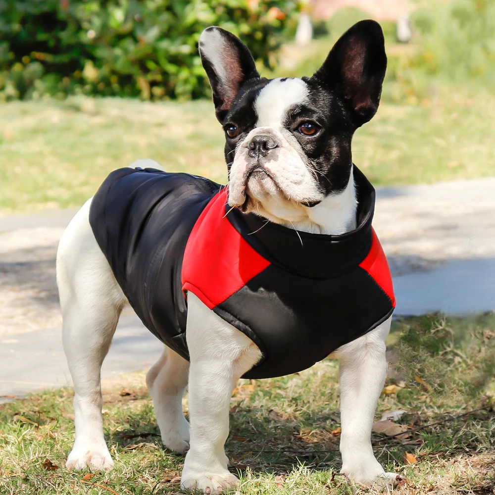 Chaleco invierno impermeable perro cremallera