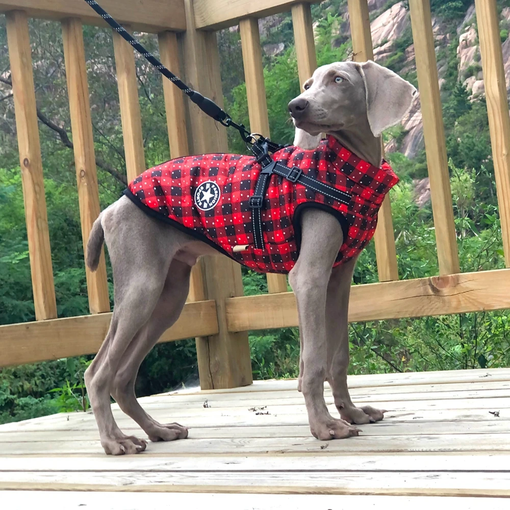 Ropa de invierno para perros grandes, chaqueta con arnés para Labrador, abrigo Cálido impermeable para perros grandes, Chihuahua, trajes de Bulldog Francés - imagen 4