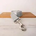 1-Leash