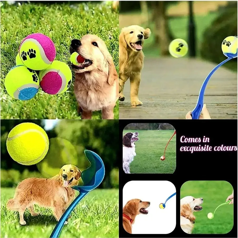 Palo de lanzamiento para mascotas, pelota de lanzamiento manual para perros, juguetes, poste lanzador de tenis para mascotas, actividades al aire libre, juguetes de entrenamiento para perros, suministros para mascotas - imagen 5