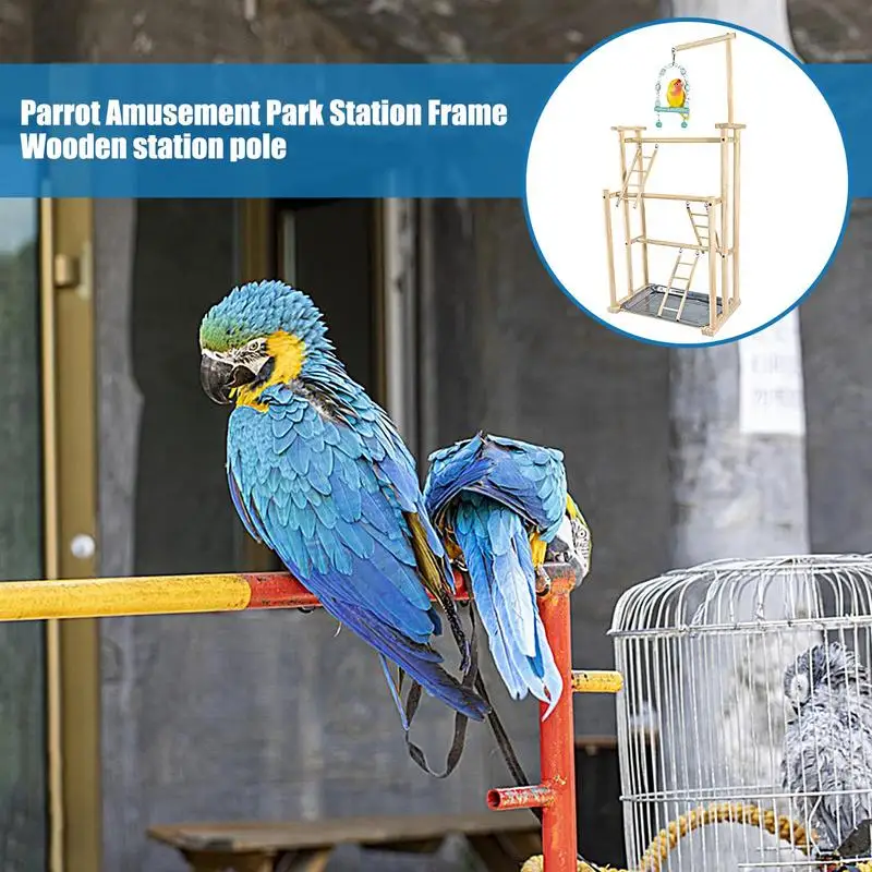 Parque de juegos de madera para pájaros, soporte de gimnasio, juguete de ejercicio, escalera para loros, gimnasio para periquitos - imagen 4