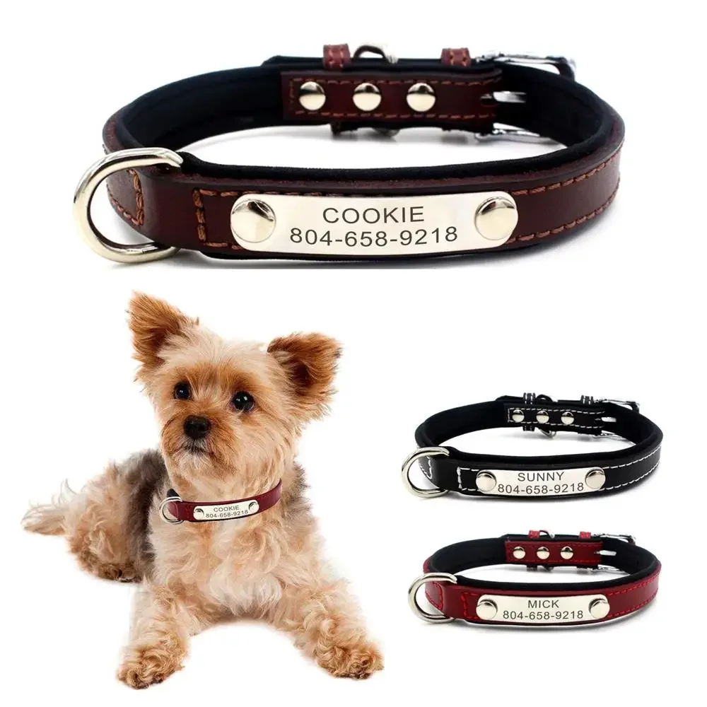 Collar de perro personalizado con nombre de gato y cachorro, etiqueta de identificación de cuero Real, collares básicos ajustables, juego de cables, accesorio para mascotas
