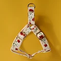 dog harness(gold)
